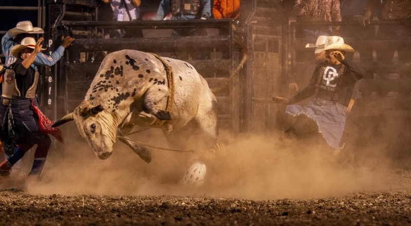 National Veterans Rodeo