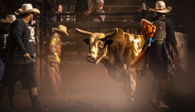National Veterans Rodeo