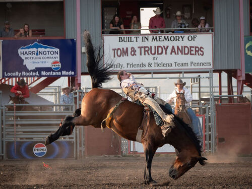 Saddle bronc rider coming out of the chute