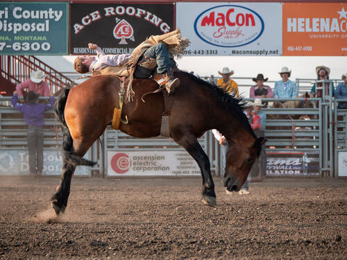 Bronc rider mid-ride in front of the crowd