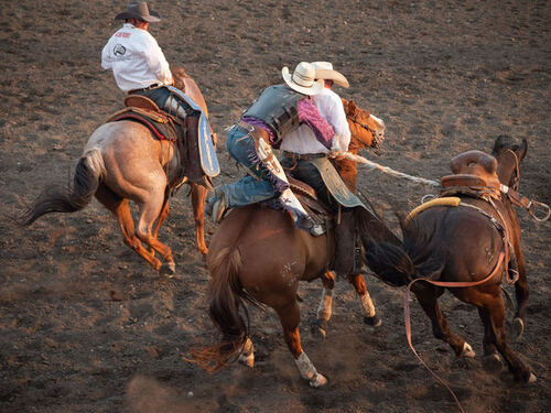 Team ropers working together in the arena